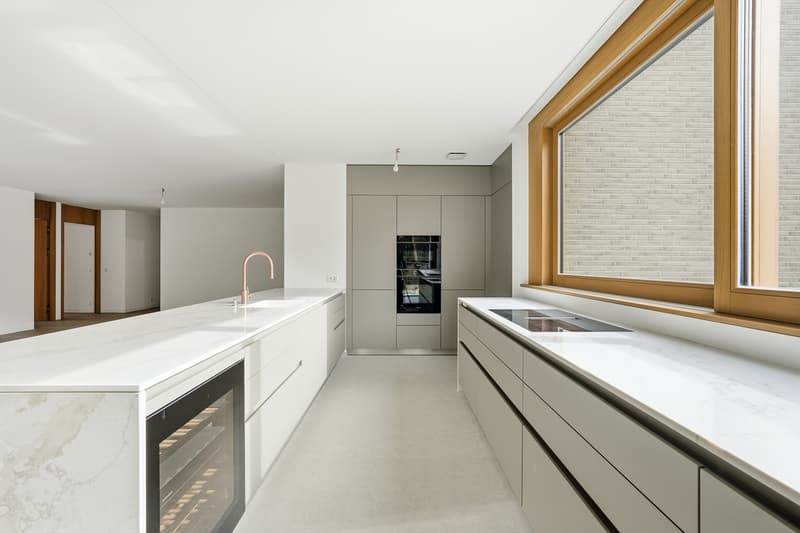 Villa Verde | Geneva City Center (3)