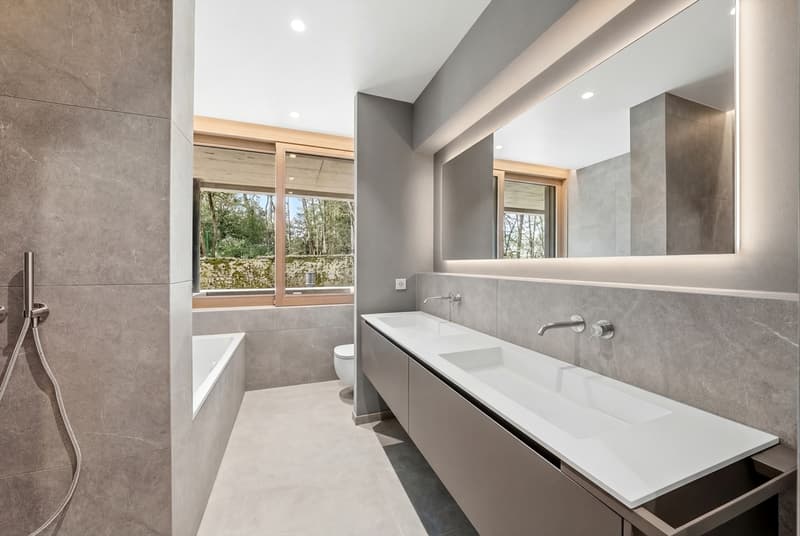 Villa Verde | Geneva City Center (7)