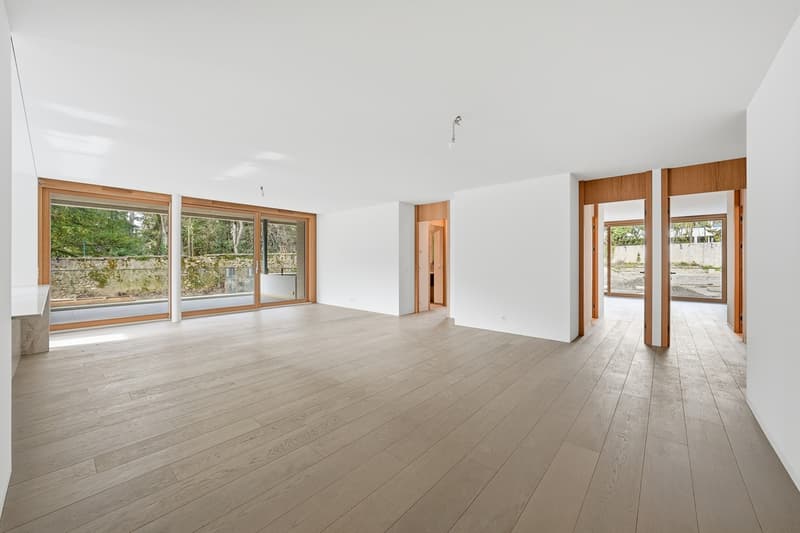 Villa Verde | Geneva City Center (1)