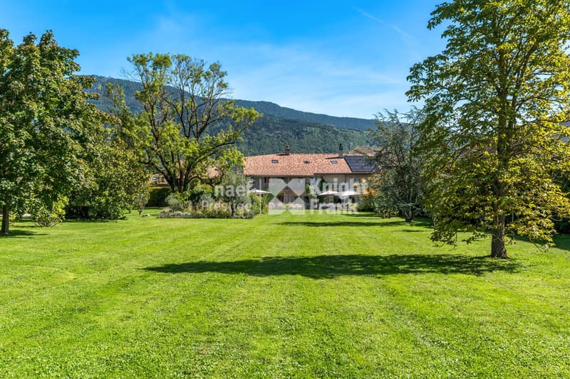 Luxurious family home renovated. (12)