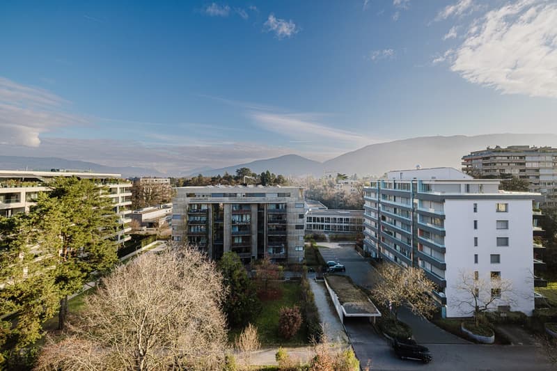Vue depuis la terrasse