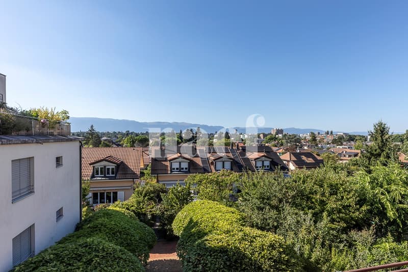 Vue depuis l'appartement