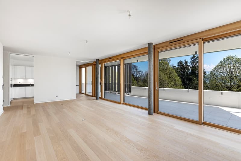 New 5-room apartment with rooftop terrace (5)