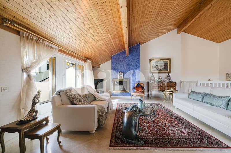 Élégant duplex avec double hauteur et parc arboré dans une résidence de prestige (1)