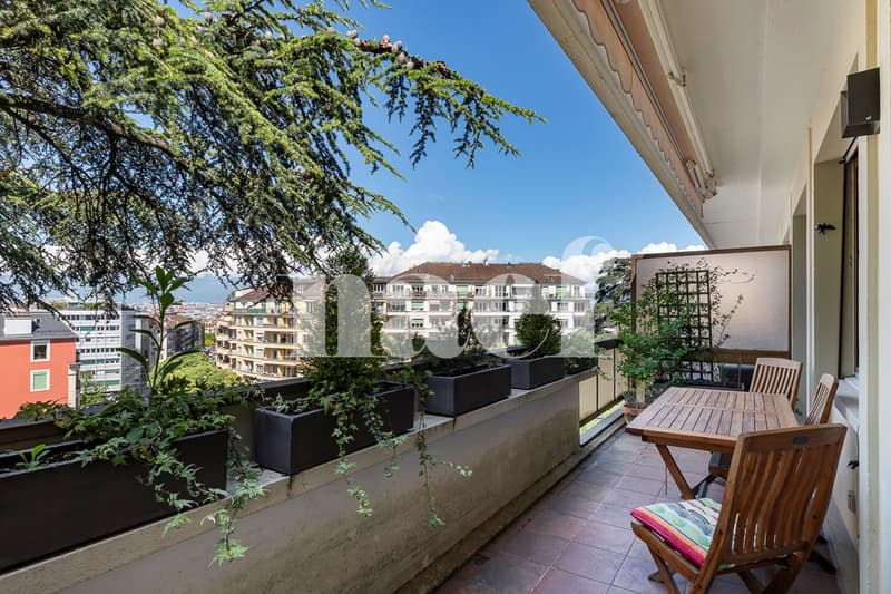 Beautiful 3-room apartment in immediate proximity to Eaux-Vives train station (1)