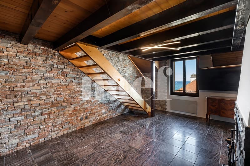 3.5 rooms renovated with breathtaking view of the lake (1)