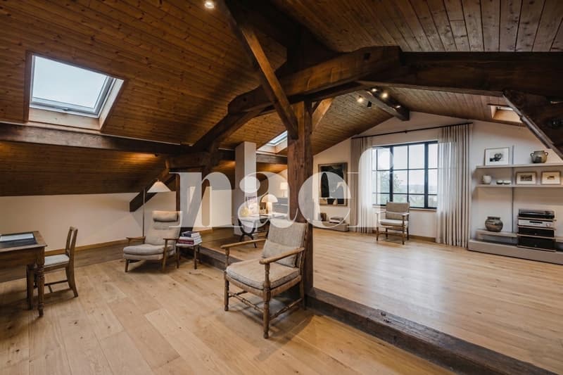 Elegante Villa mit authentischem Charme in Grand-Saconnex (1)