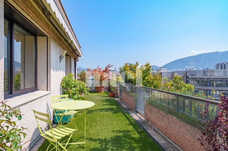 Bel attique avec terrasse au coeur de Carouge (1)