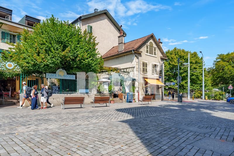 Village