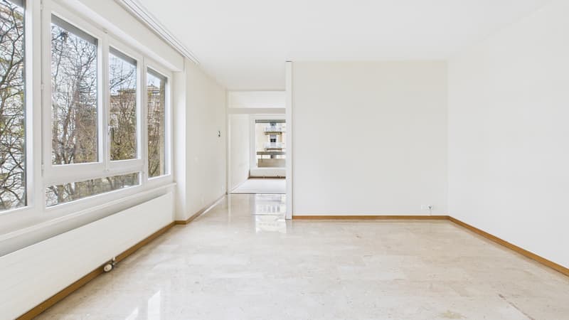 Champel : Superbe Appartement de 7 Pièces avec Loggias (11)