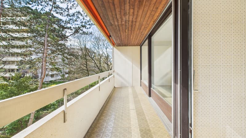 Champel : Superbe Appartement de 7 Pièces avec Loggias (2)