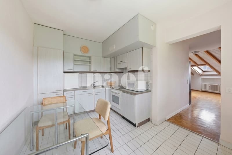 Appartement lumineux au 6 ème étage avec une belle terrasse (7)