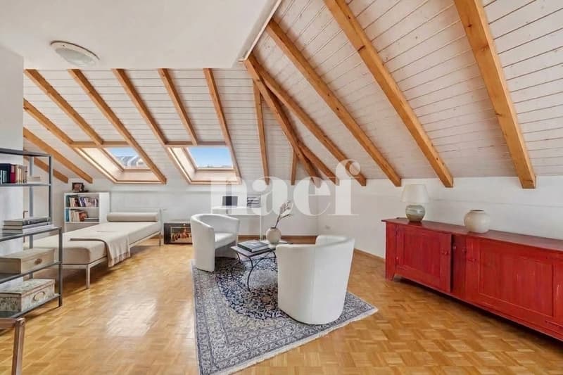 Appartement lumineux au 6 ème étage avec une belle terrasse (5)