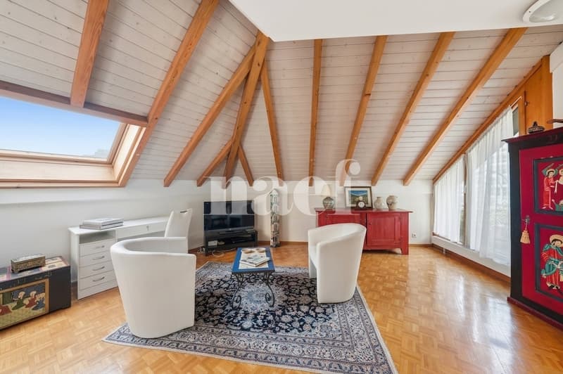 Appartement lumineux au 6 ème étage avec une belle terrasse (4)
