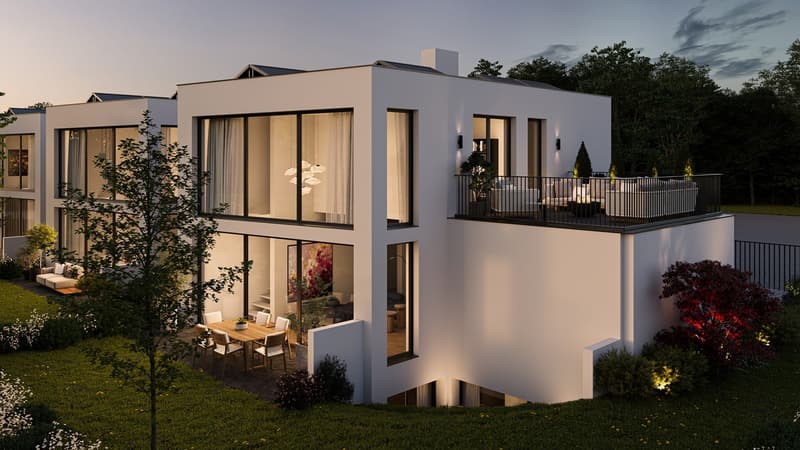 Villa neuve - Livraison Novembre 2026 ! (1)
