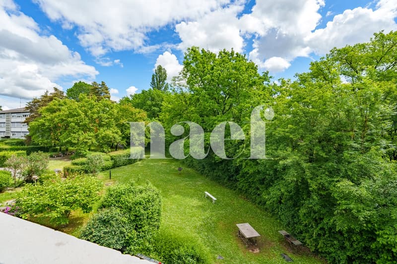 parc de jeux