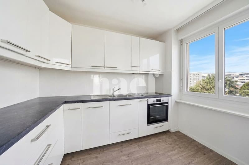 Spacieux appartement familial en étage élevé (4)