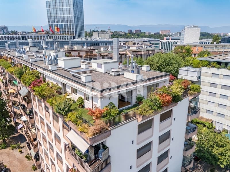 Bel attique avec terrasse au coeur de Carouge (12)