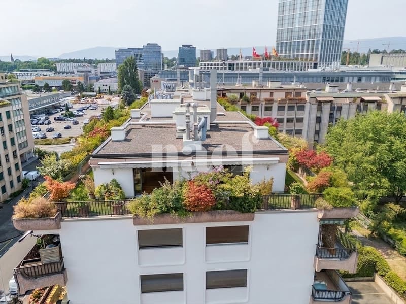Bel attique avec terrasse au coeur de Carouge (11)