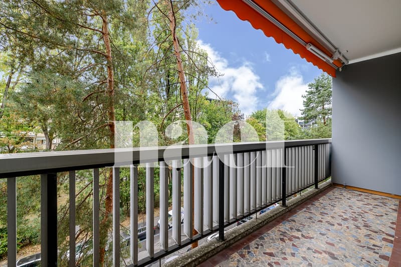 Appartement traversant au coeur de Champel (13)