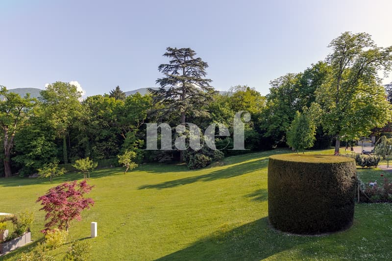 Vue depuis l'appartement