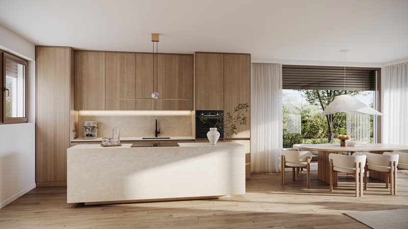 Villas neuves 5 pièces à Plan-les-Ouates ? Livraison 2028 (3)