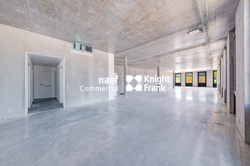 A saisir | Showroom de 228 m2 (5)