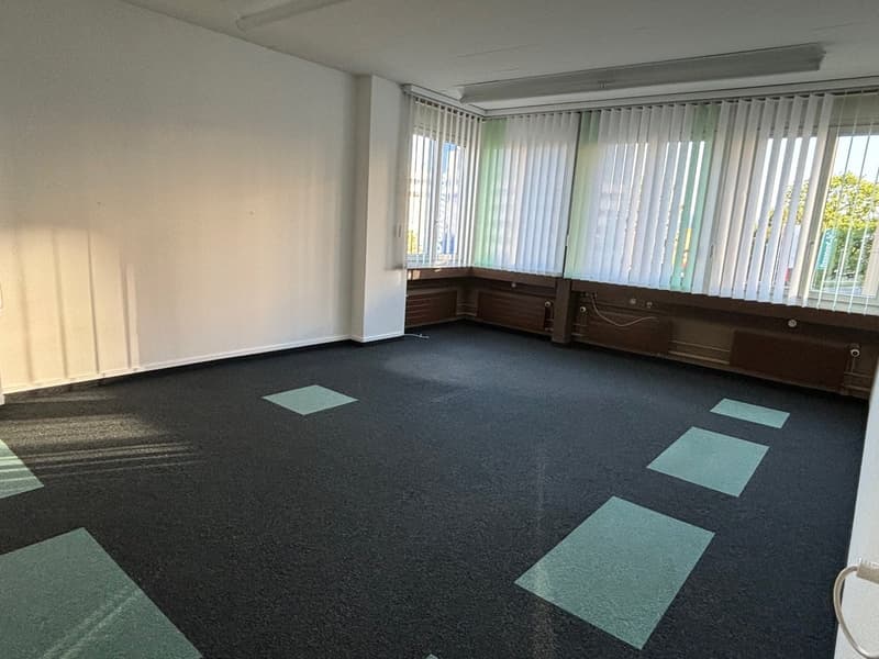 Spazi aziendali ristrutturati - Winterthur-Grüze (3)