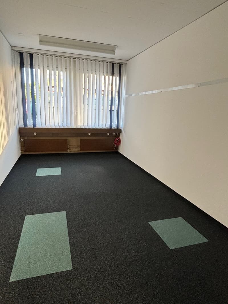 Spazi aziendali ristrutturati - Winterthur-Grüze (4)