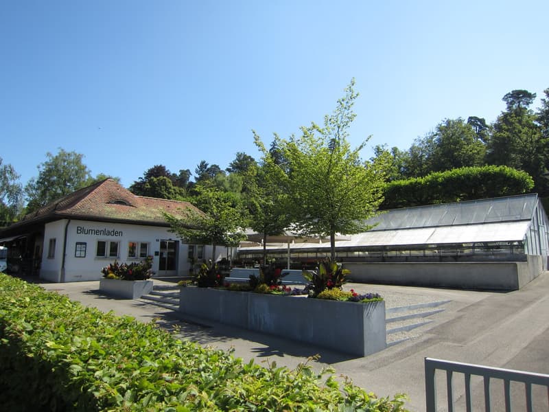 Negozio di fiori al cimitero di Rosenberg a Winterthur - offre molte opportunità (2)