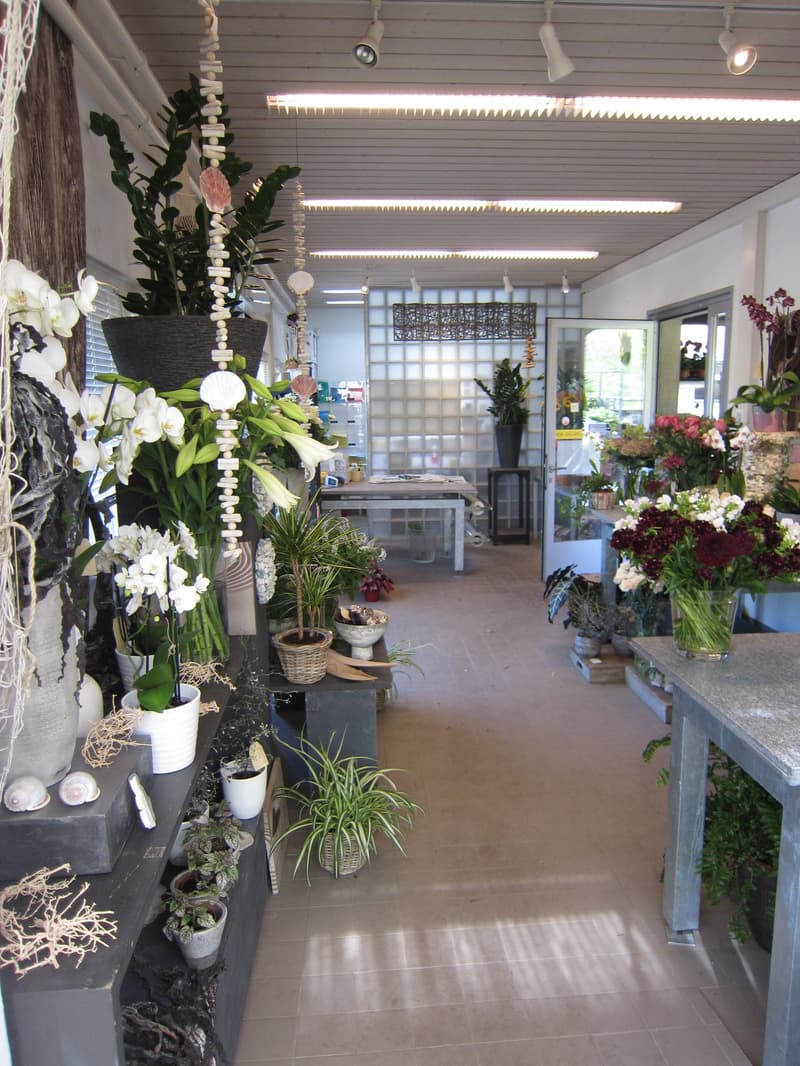 Negozio di fiori al cimitero di Rosenberg a Winterthur - offre molte opportunità (4)