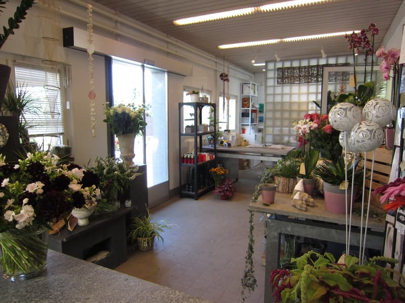 Negozio di fiori al cimitero di Rosenberg a Winterthur - offre molte opportunità (3)