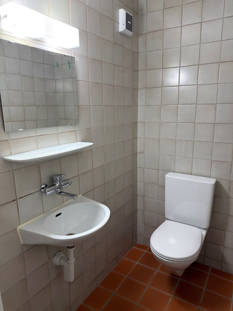 Charmante 3.5-Zimmer-Maisonette-Wohnung in Winterthur (7)