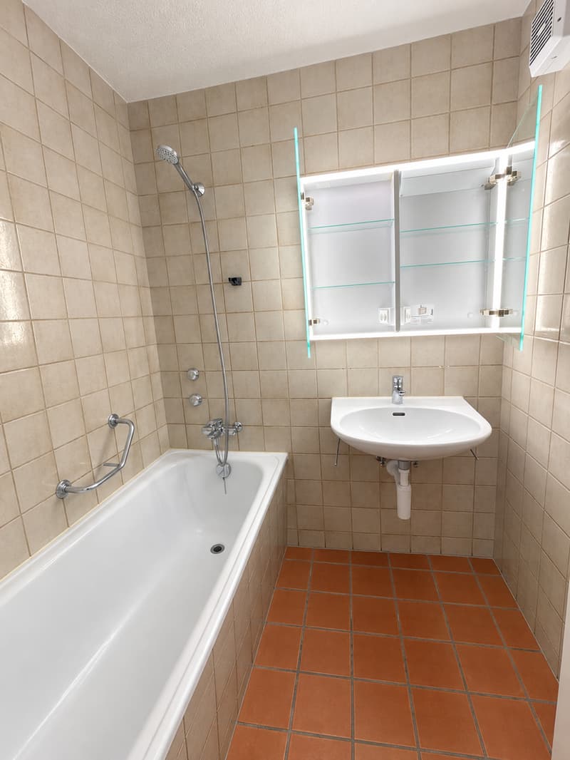 Charmante 3.5-Zimmer-Maisonette-Wohnung in Winterthur (6)