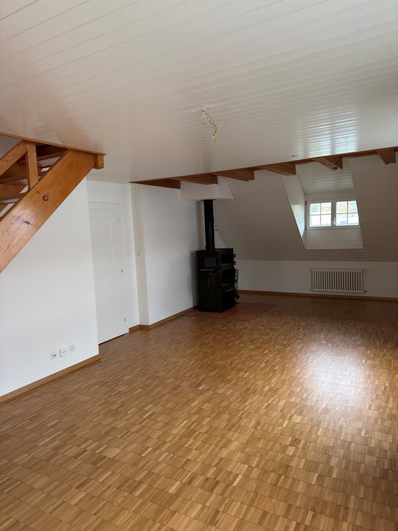 Charmante 3.5-Zimmer-Maisonette-Wohnung in Winterthur (3)