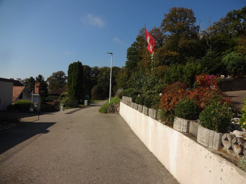 Concrete wall with plants, walkway, Swiss flag, trees