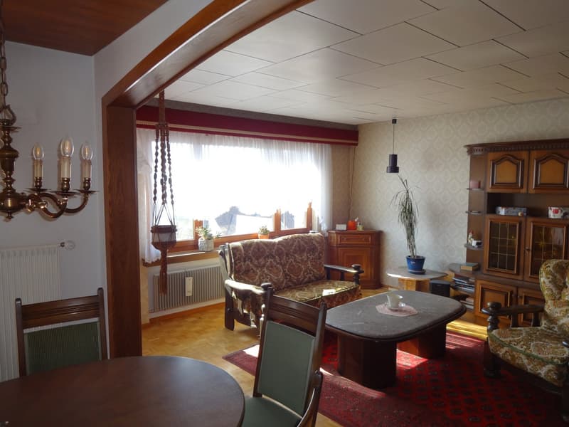 living room with wooden chairs, couch, table, chandelier, radiator, plants on window sill, carpet, wooden cabinet