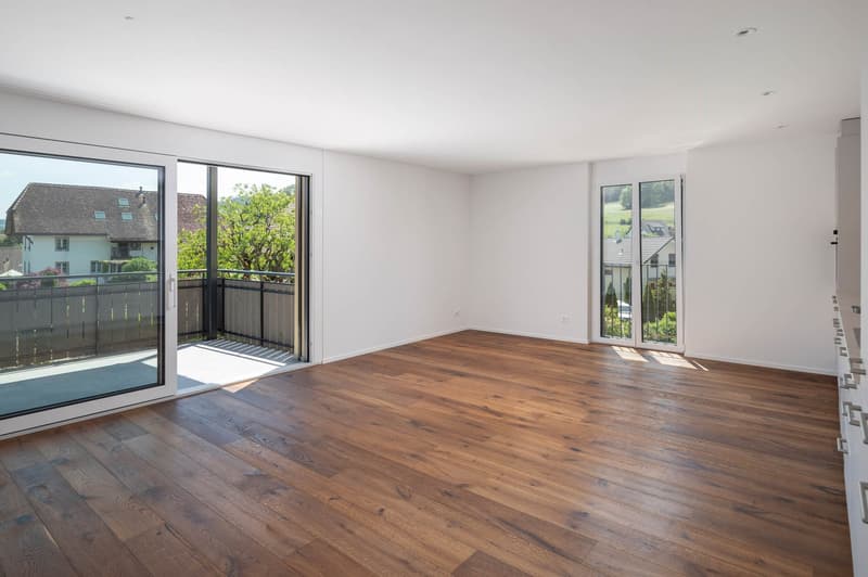 First-class, almost new apartment for rent in beautiful Reitnau (2)