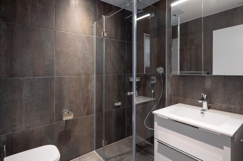 First-class, almost new apartment for rent in beautiful Reitnau (4)