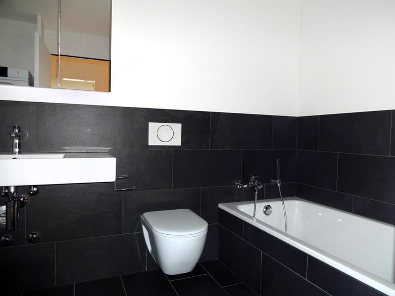 Appartement spacieux et beau avec beaucoup d'espace dans le Rickenbach ensoleillé (6)