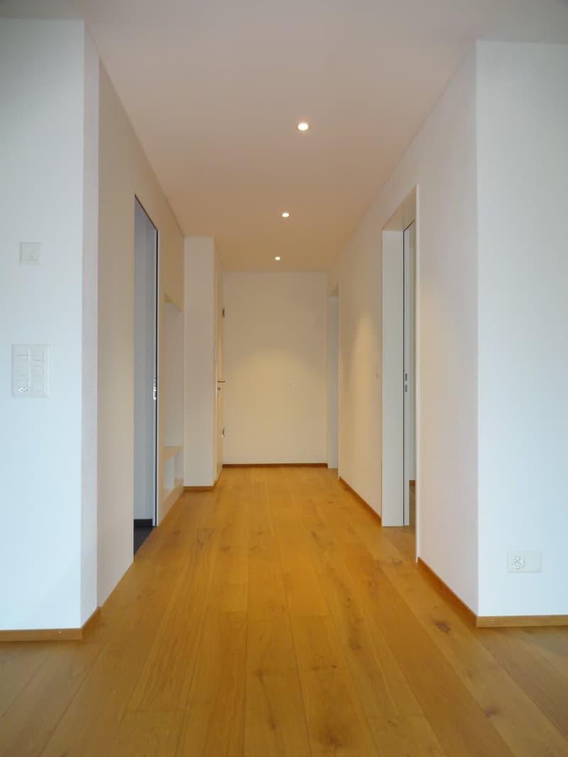 Appartement spacieux et beau avec beaucoup d'espace dans le Rickenbach ensoleillé (3)