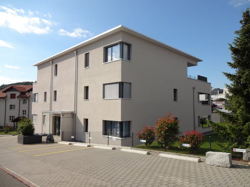 Appartement spacieux et beau avec beaucoup d'espace dans le Rickenbach ensoleillé (10)