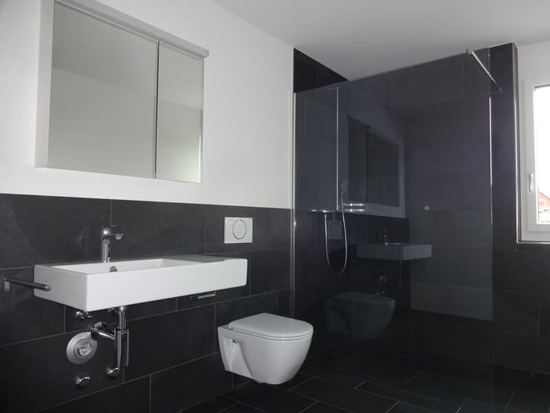 Appartement spacieux et beau avec beaucoup d'espace dans le Rickenbach ensoleillé (5)