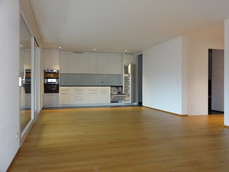 Appartement spacieux et beau avec beaucoup d'espace dans le Rickenbach ensoleillé (2)