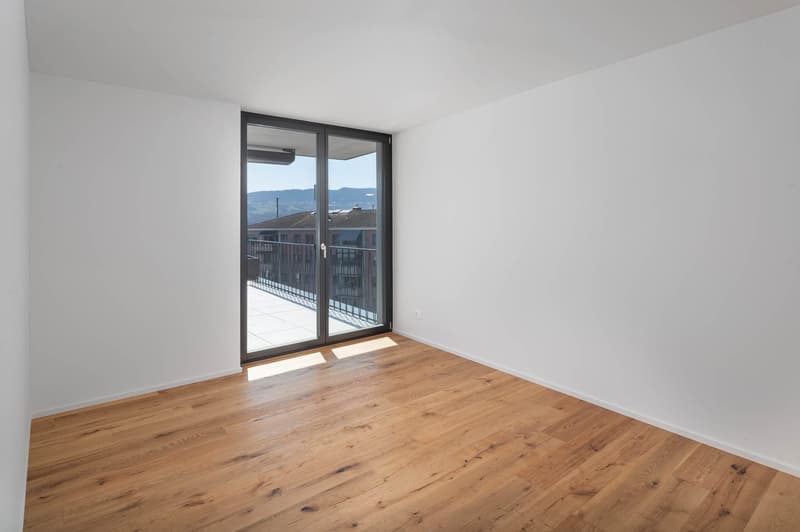Appartement de terrasse exclusif et de haute qualité de 4,5 pièces - Votre domicile de rêve avec vue partielle sur le lac à Uerikon (8)