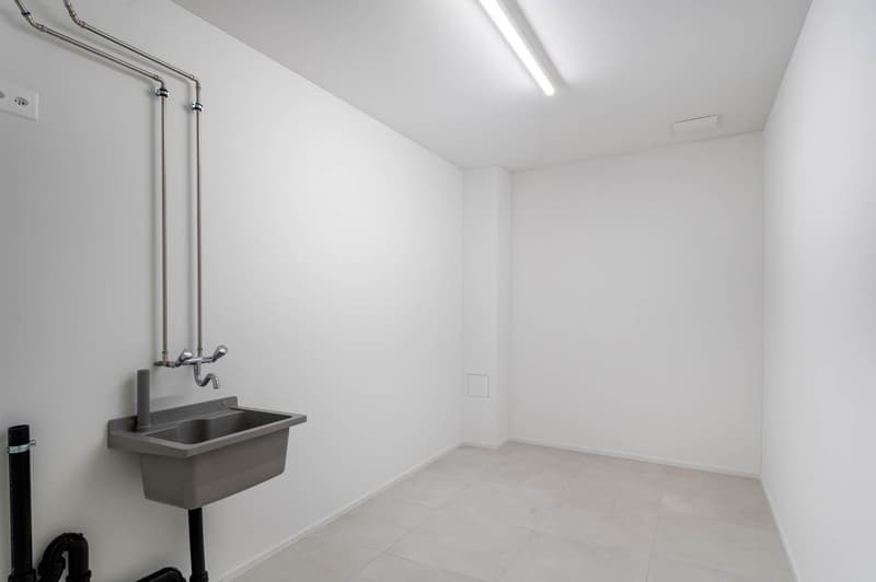 Appartement de terrasse exclusif et de haute qualité de 4,5 pièces - Votre domicile de rêve avec vue partielle sur le lac à Uerikon (14)