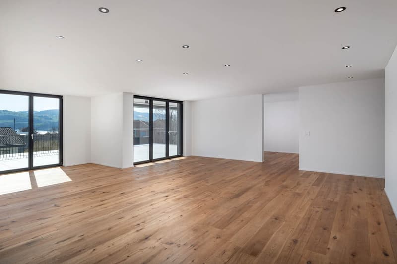 Appartement de terrasse exclusif et de haute qualité de 4,5 pièces - Votre domicile de rêve avec vue partielle sur le lac à Uerikon (7)