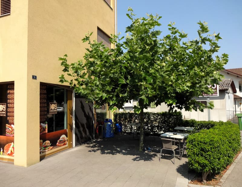Centrally located snack bar or kebab directly next to the train station in Menziken / AG (2)