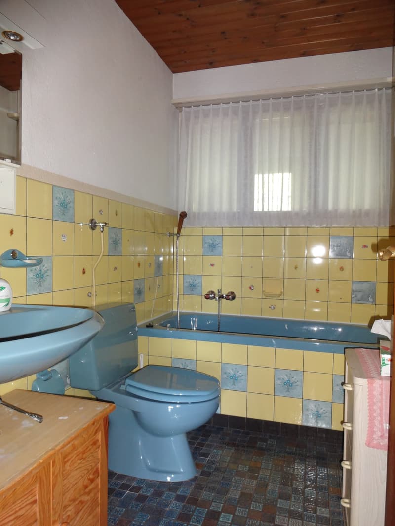 Charmantes Einfamilienhaus an guter, sonniger Lage mit grossem Garten und wunderbarer Weitsicht (10)