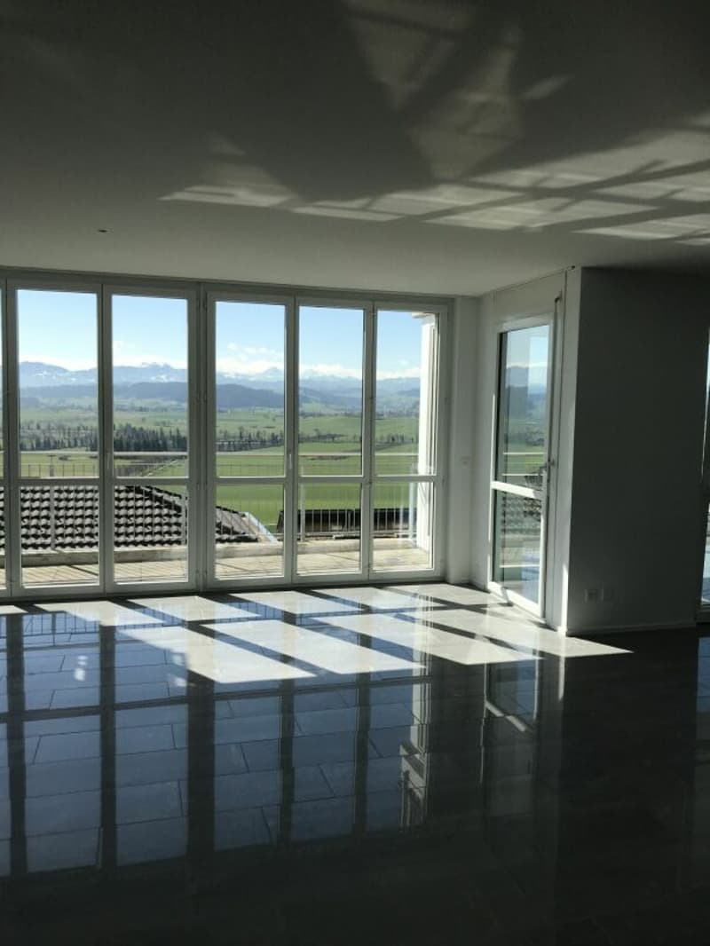 Appartamento esclusivo con terrazza e vista sulla natura e le montagne (6)